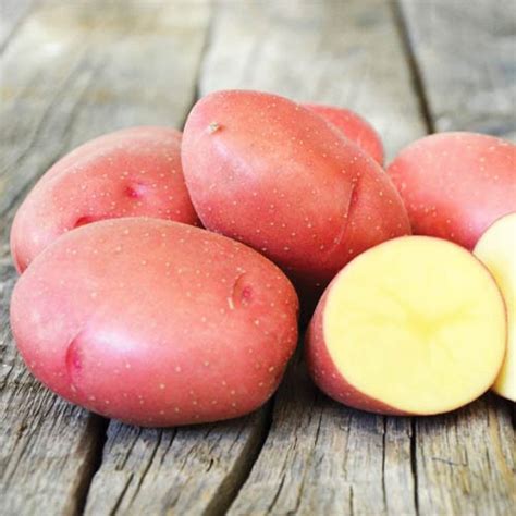Картофель Эволюшн (первая репродукция) - купить клубни в Украине ...