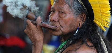 Chefes Indigenas Do Passado - Chefe Indígena Brasil | Pueblo indígena, Indigenas, Etnias indigenas