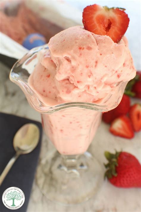 Can You Really Dehydrate Ice Cream?