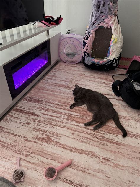 skylar calico leaks 3