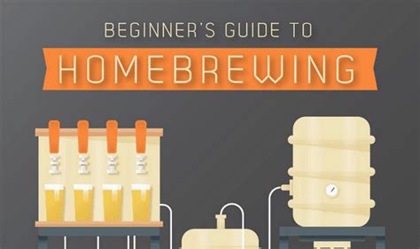 beginners guide  homebrewing infographic visualistan