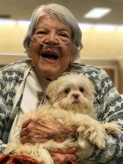 phoenix mountain animal hospital 3