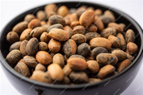 premium photo jamalgota  jayapala croton tiglium seed