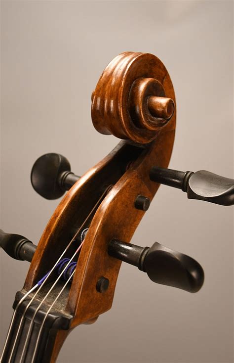 Old Italian cello made circa 1860-1880, Pio Soccol, Venice