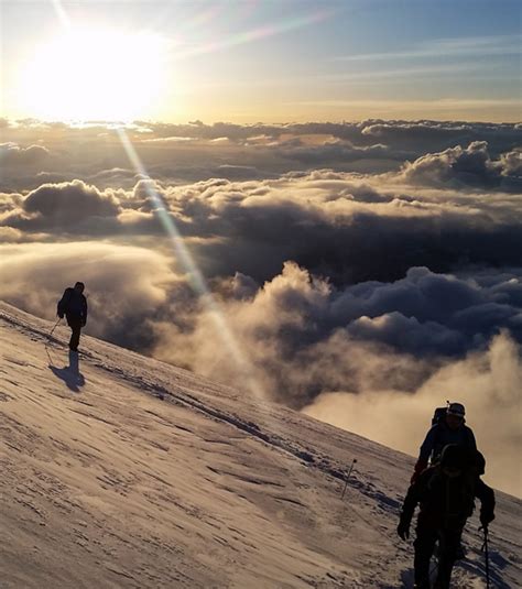 how much does it cost to climb mt rainier