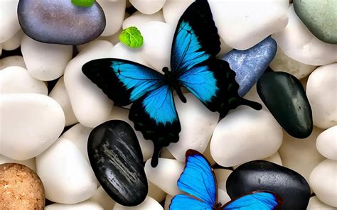 Beautiful Tablet HQ Background Wallpaper 61211 - Baltana