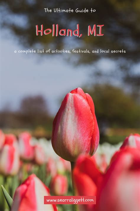 The Complete Travel Guide: Holland, Michigan — Searra Liggett