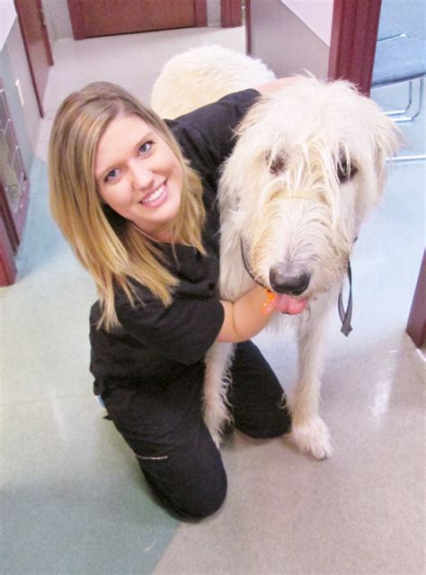 This schedule shows every stop from North Carrollton Frankford station 10