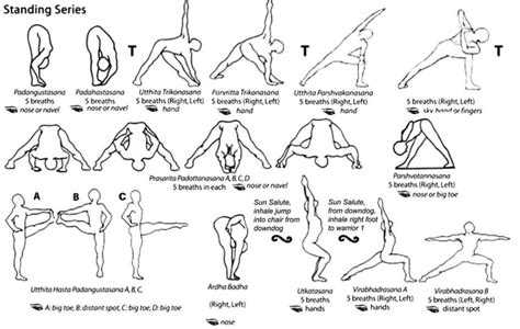 ashtanga vinyasa primary series ashtanga vinyasa yoga  nepal