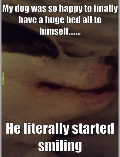 omg hes  happy meme  picklepotato memedroid