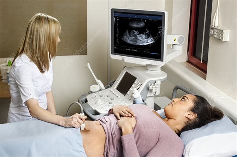 Ultrasound in pregnancy - Stock Image - C017/7151 - Science Photo Library
