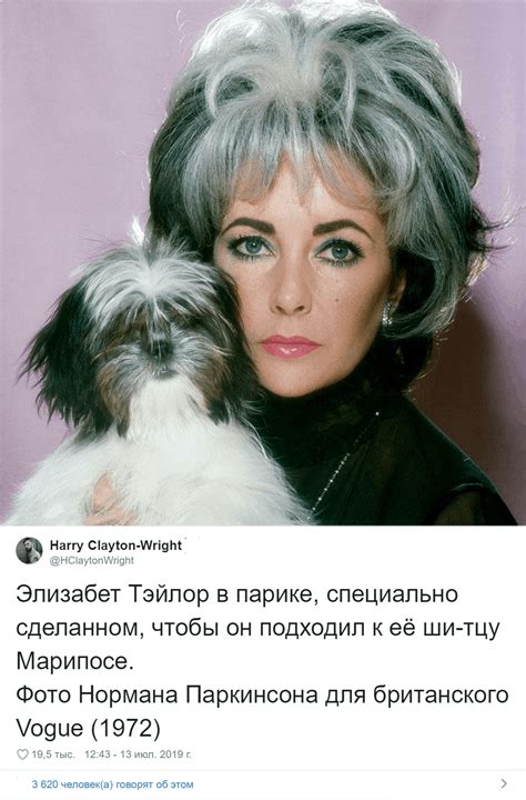 Питомцы, которые похожи на своих хозяев как две капли воды / Питомцы