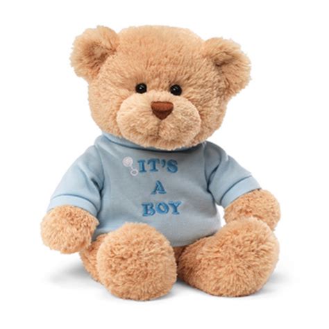 boy teddy bear
