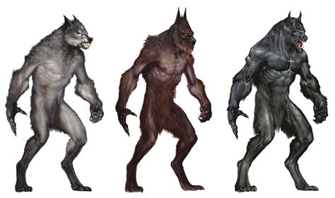 Werewolves | Van helsing werewolf, Werewolf art, Werewolf