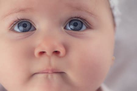 Foto De Bebes Hermosos - foto de