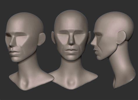 Female head Planes Base Mesh on Cubebrush.co | Female head, Anatomy ...