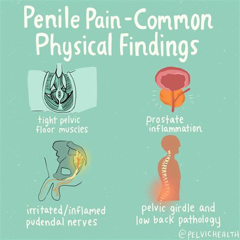 Why Do Men Develop Penile Pain? Plus video resources!