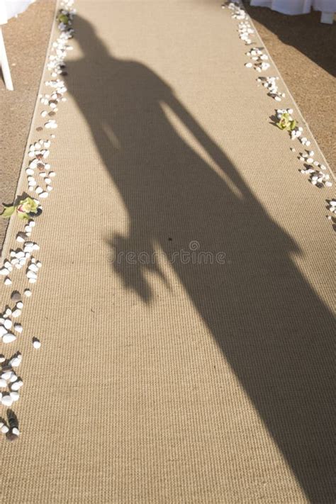 wedding shadow stock image image  woman love shade