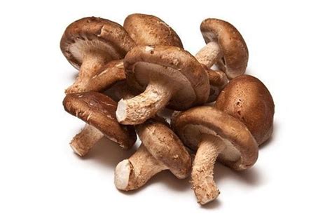 shiitakelentinula edodes thai freeze dry