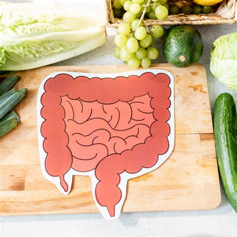 How your gut health affects your entire body - Living Naturally