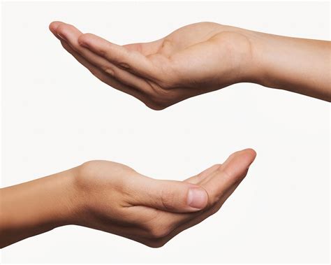 cupping hands isolated white design  photo rawpixel