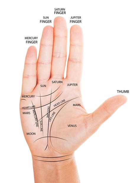 palm reading the marriage line 4