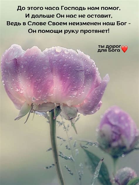 Pin van Светлана op мужу