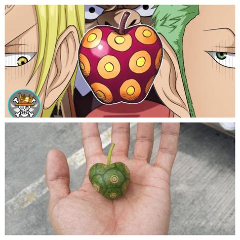 I found an artificial devil fruit but dunno what ability it has. should i eat it and join Kaidou ...