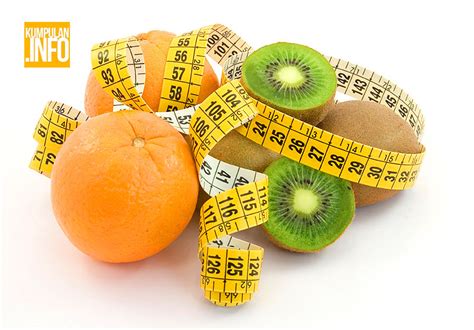 porsi tepat nutrisi tubuh kumpulan info