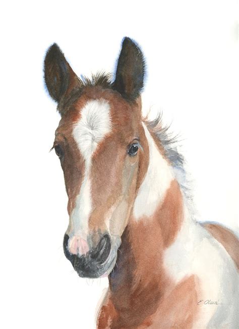 ORIGINAL Watercolor Paint Horse Foal Painting, Pinto Foal Horse Wall Art Nursery Decor, Horse ...