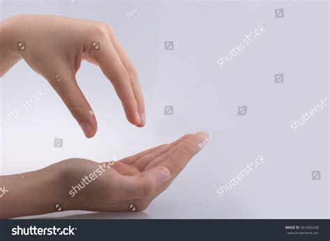 hand holding  white background stock photo  shutterstock