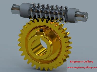 Types of Gear : Worm & Worm Wheel | Engineers Gallery