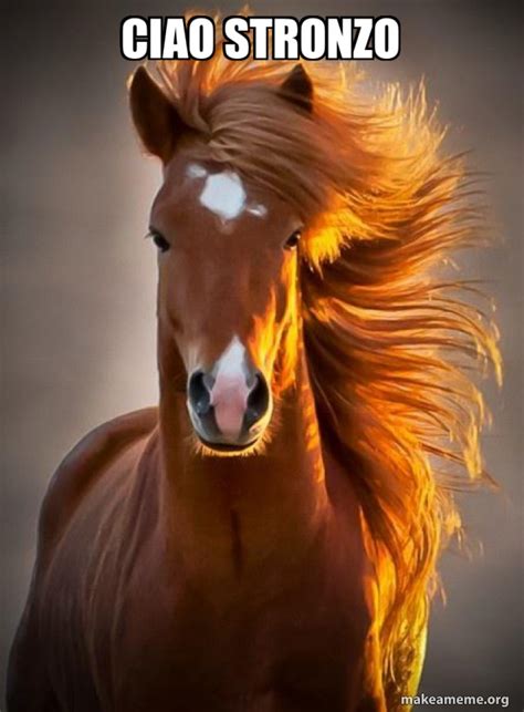 ciao stronzo - Ridiculously photogenic horse Meme Generator