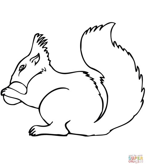 Squirrel With Acorn Drawing - ClipArt Best