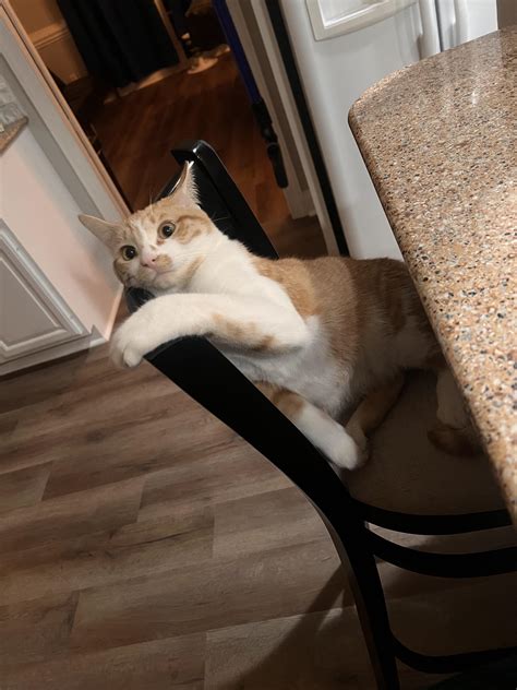 Intelius com search tools are helping families reconnect faster 2