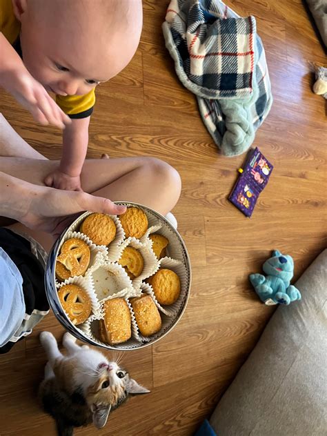 The Snacks Are No Longer Safe : r/beyondthebump