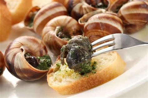 What Does Escargot Taste Like? Does Escargot Taste Good?