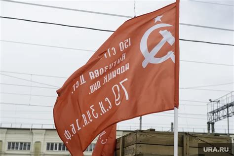 Победа! | Пикабу