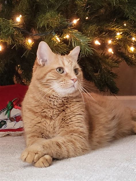 Is big meech still alive and what his release means 18