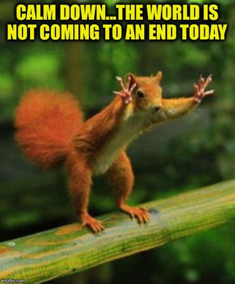 Google September 23rd in case you haven't heard.... - Imgflip