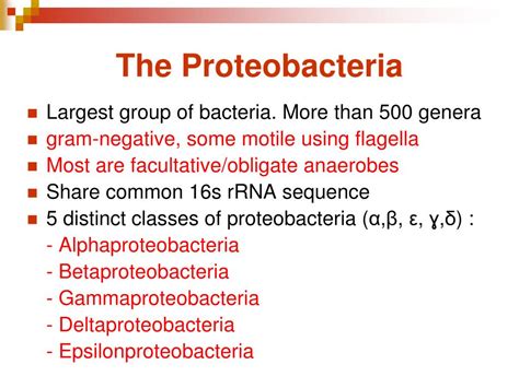 PPT - Microbes Overview PowerPoint Presentation, free download - ID:4136157