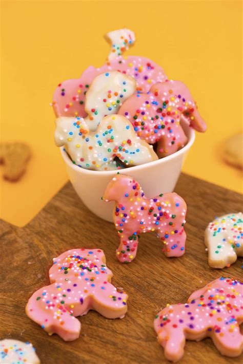 animal cookie costume 5