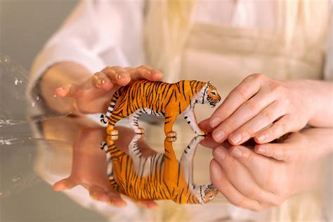 Tiger Photo Photos, Download The BEST Free Tiger Photo Stock Photos