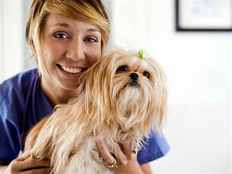 careers  animals job descriptions petfinder