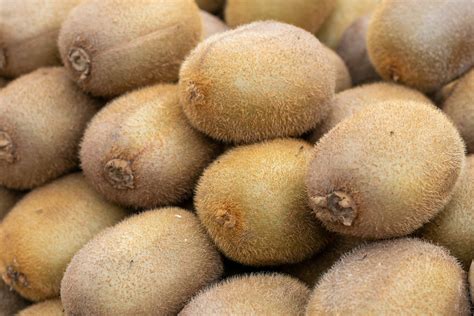 Kiwifruit — Botryzen
