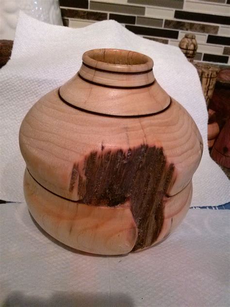 eastern hemlock tree wood vessel