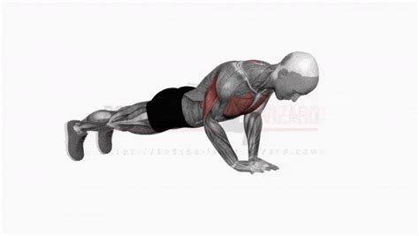 exercises  build monster triceps chosen  experts