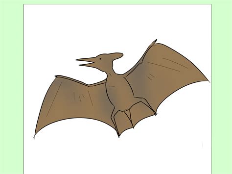 pterodactyl drawing