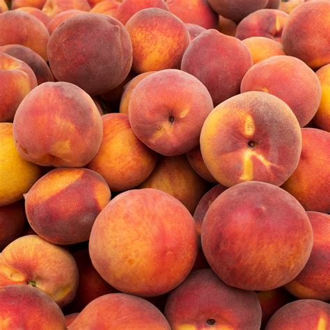 how to ripen peaches 5