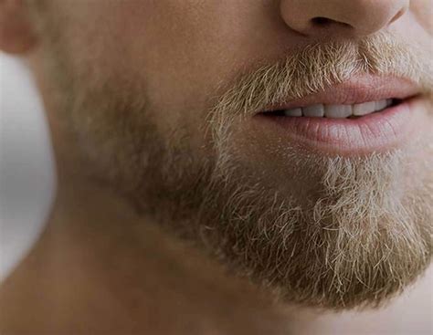 male facial hair styles